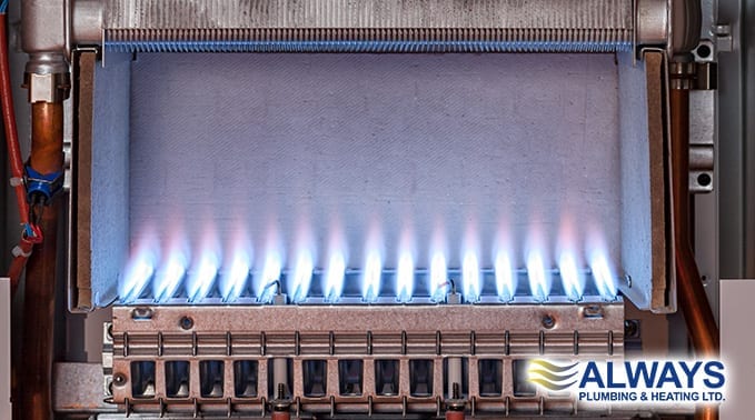 Winter Boiler Maintenance