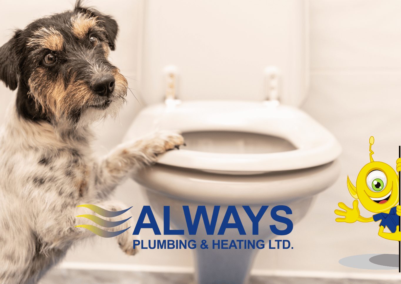 5 Signs Your Toilet Needs to be Replaced