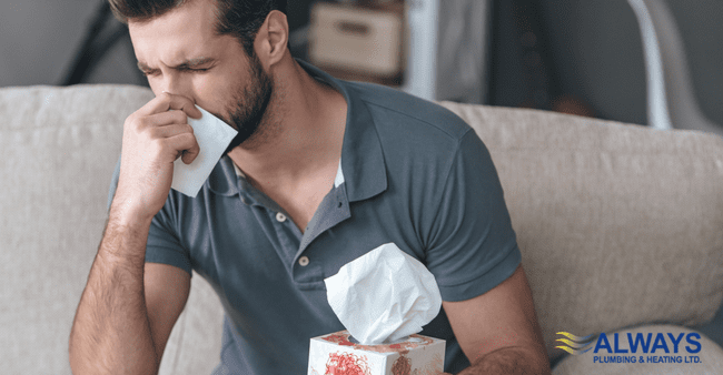Fighting Allergies in Your Edmonton Home