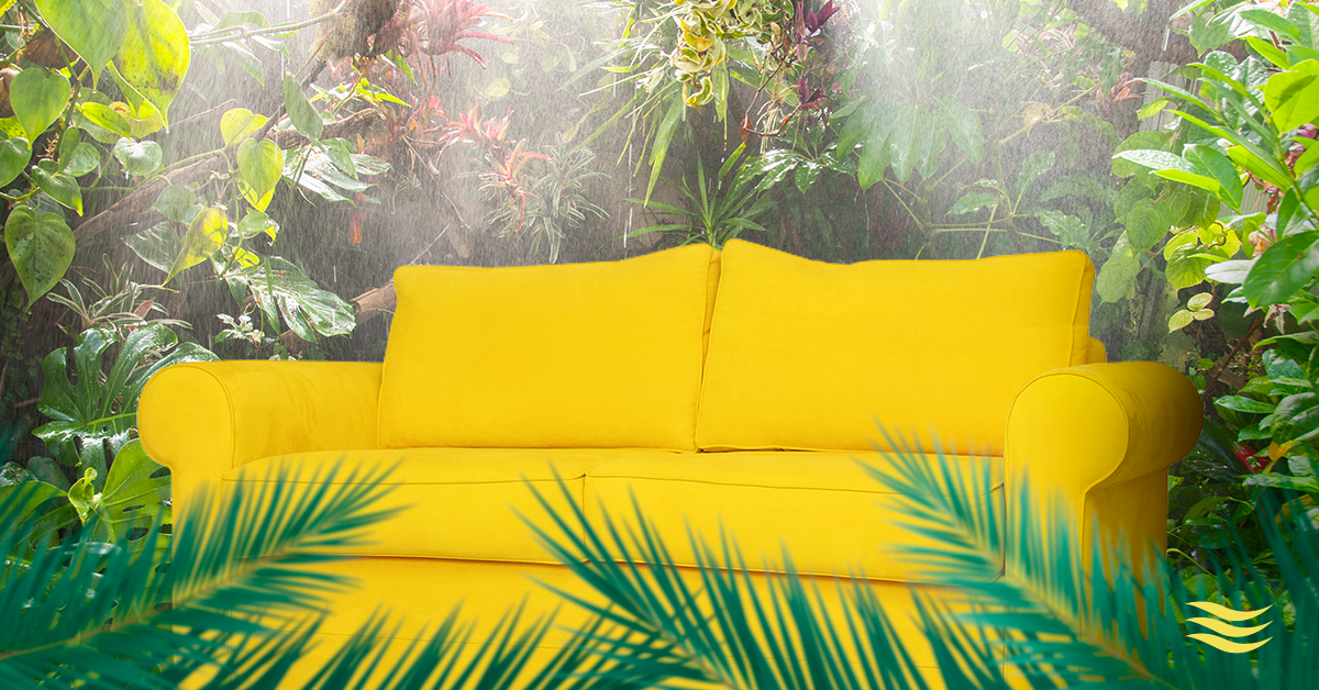 What Should Be Your Home’s Ideal Humidity?