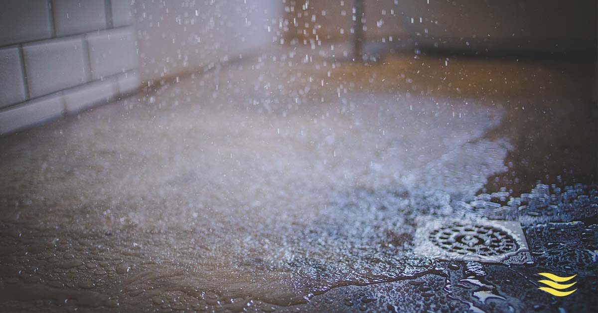 Five Proven Ways to Unclog Your Shower Drain