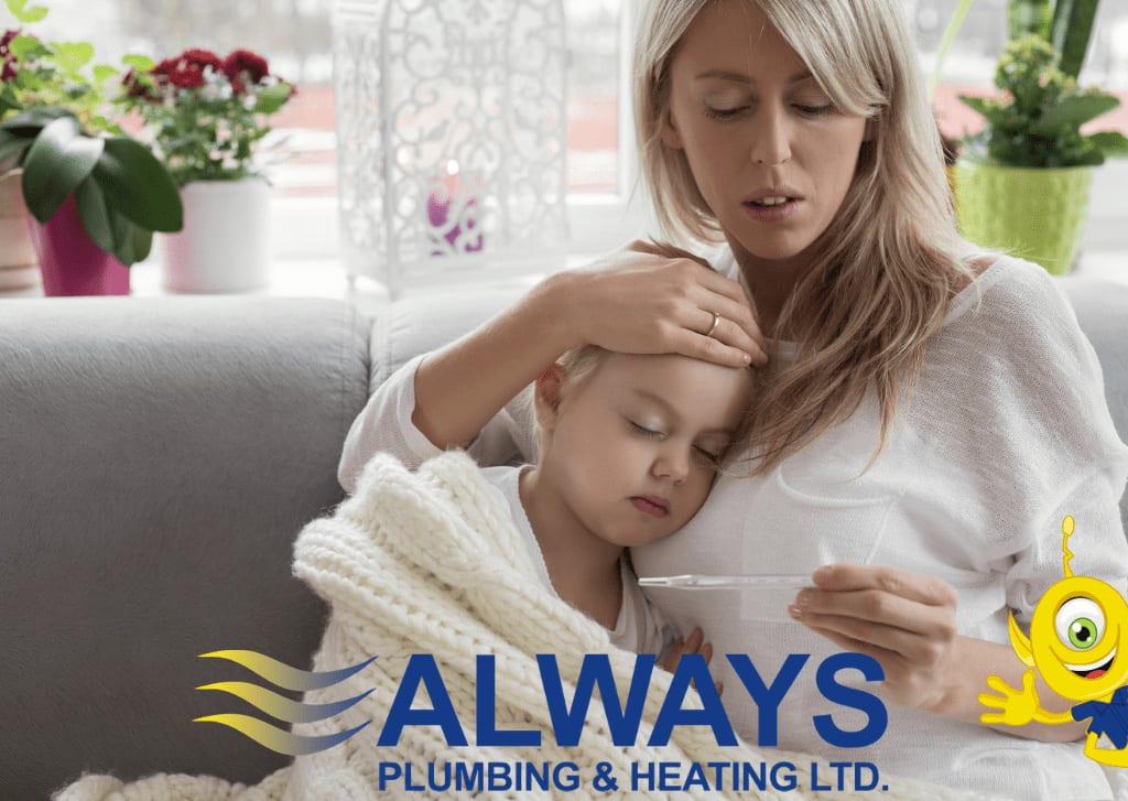 COVID-19 and the Air Quality in Your Home