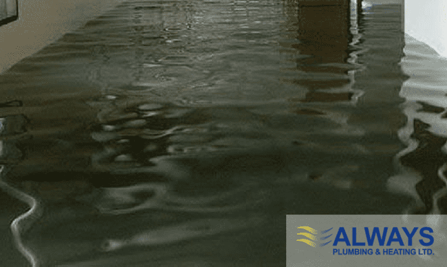 Sump Pump Maintenance Tips for Your Edmonton Home