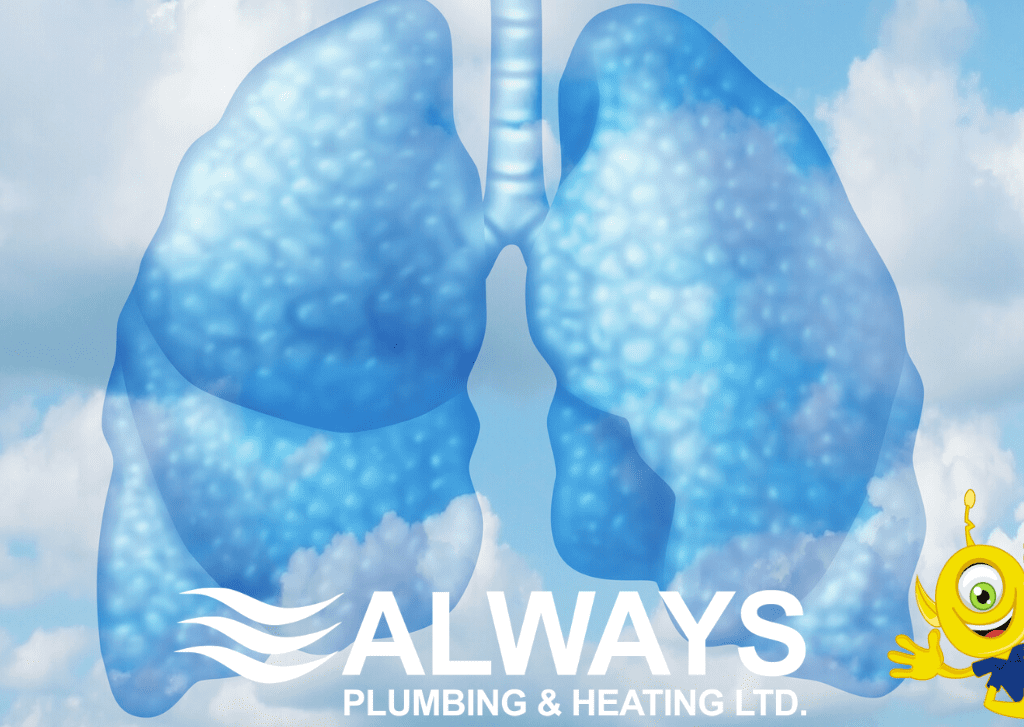Is Your Home Making You Sick?