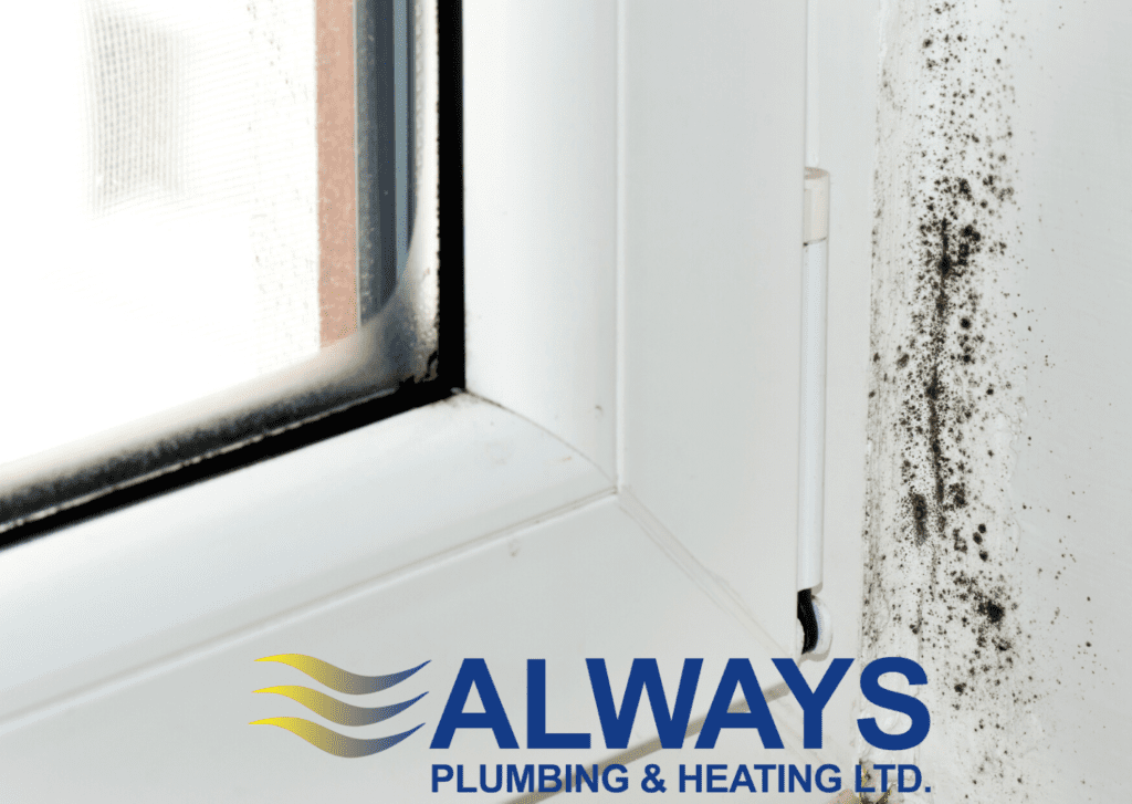 Controlling Household Condensation in Winter