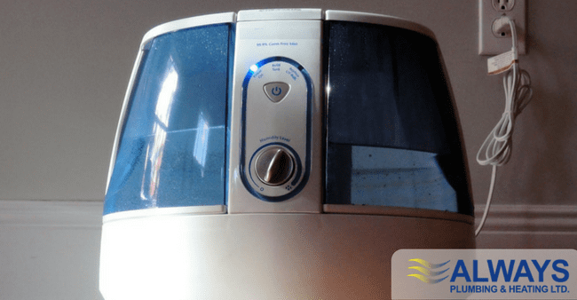 Benefits of a Room Humidifier in Your Edmonton Home