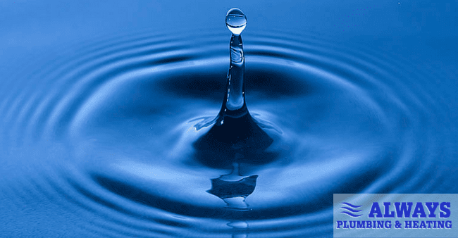 Supply Valve Locations in Your Edmonton Home